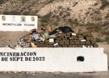 FGR INCINERA CERCA DE CUATRO TONELADAS DE DIVERSAS DROGAS