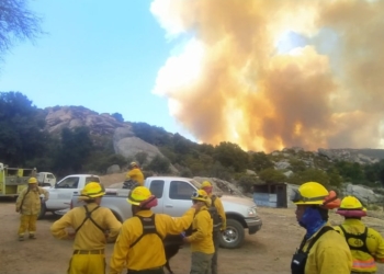 Cuartel Forestal y Cal Fire capacitarán a bomberos del Gobierno de Chile