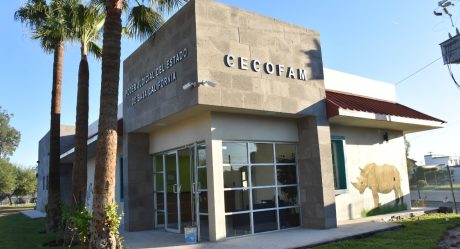 Inauguran nuevo Centro de Convivencia Familiar en Mexicali