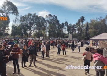 Protección Civil Tijuana descarta afectaciones tras sismo de 6.2