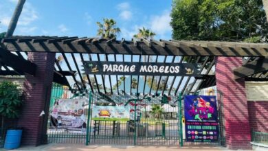 Parque-Morelos-cerrara-manera-preventiva-brote-gripe-aviar