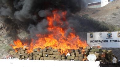FGR-incinera-cerca-9-toneladas-narcoticos