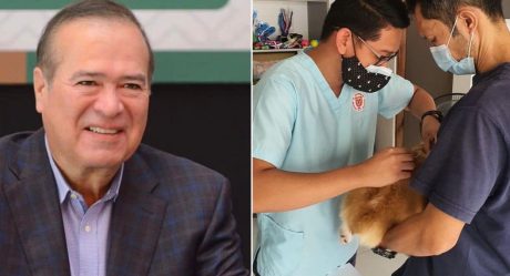 La iniciativa de Arturo González para trato digno de mascotas avanza