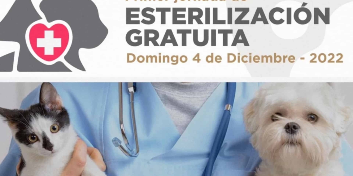 Gobierno de Rosarito invita a jornada de esterilización gratuita de mascotas