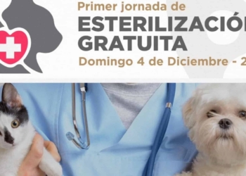 Gobierno de Rosarito invita a jornada de esterilización gratuita de mascotas