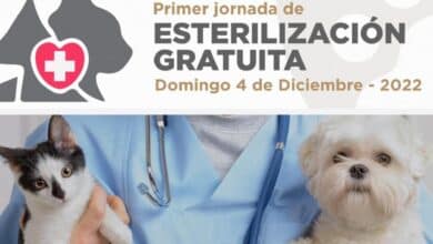 Gobierno-Rosarito-invita-jornada-esterilizacion-gratuita-mascotas