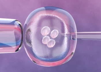 Fertilización in vitro método indicado para mujeres con daños en trompas de Falopio