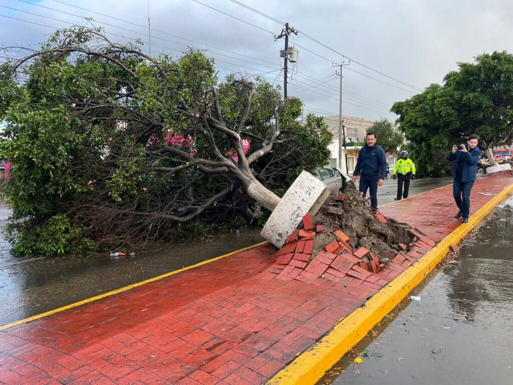 Bomberos-atendia-caida-arboles-causa-lluvia-torrencial-repentina