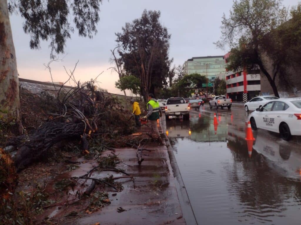 CESPT-mantiene-monitoreo-entrada-segunda-tormenta-invernal