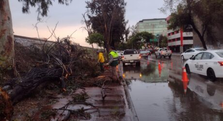 CESPT mantiene monitoreo por la entrada de la segunda tormenta invernal