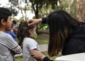 Autoridades hablan del caso de tres niños con rabia en Oaxaca