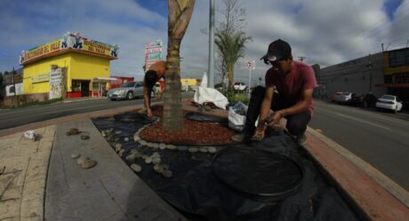 Gobierno de Rosarito informa avance del 95% en obra del bulevar Benito Juárez