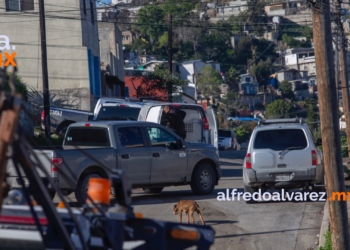 Localizan cadáver carbonizado en Camino Verde  