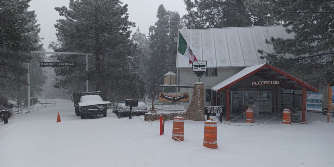 Por nevadas cierran Parque Nacional Constitución 1857 y San Pedro Mártir