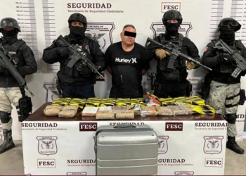 Decomisan más de 23 kilos de fentanilo y seis de heroína en operativo Alfa