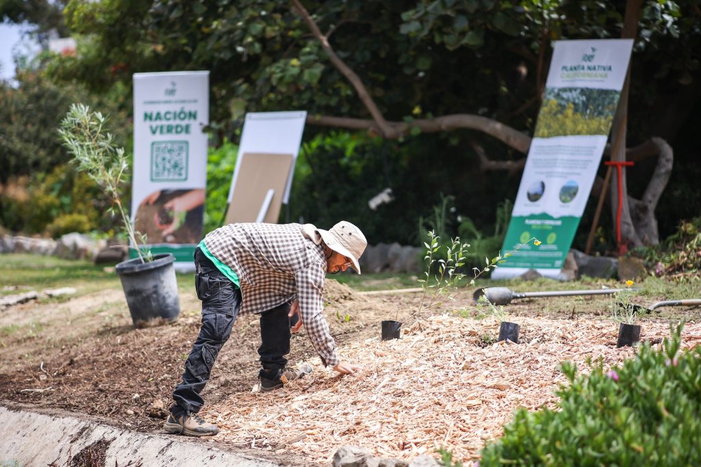 Cañón del Matadero presenta otra afectación en el talud