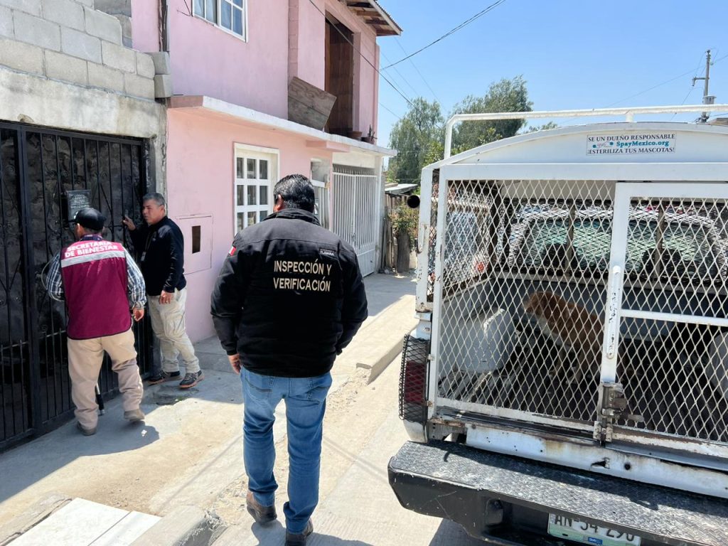 Ayuntamiento-rescata-docena-perros-condiciones-precarias