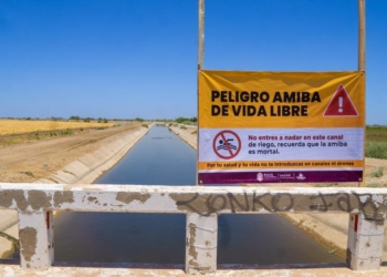 Detectan Amiba de Vida libre en agua de uso en Mexicali