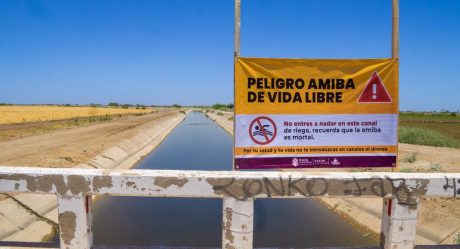Detectan Amiba de Vida libre en agua de uso en Mexicali