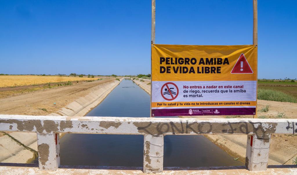 Detectan-Amiba-Vida-libre-agua-uso-Mexicali