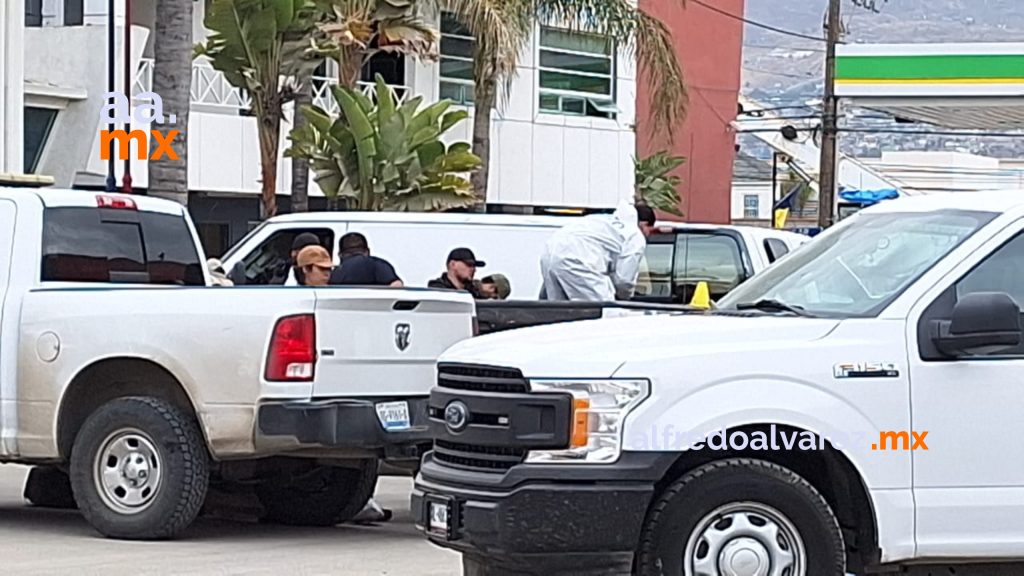 Abandonan siete cadáveres en caja de un pick up