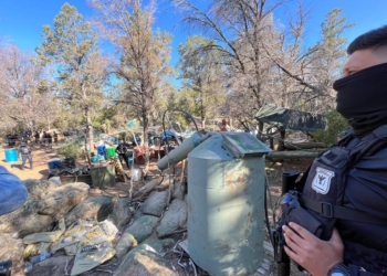 FESC y Sedena laboratorio de droga y plantíos de marihuana en La Rumorosa