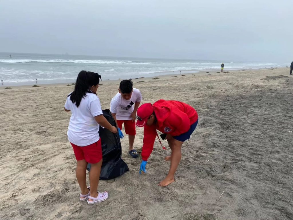 Rosarito-retira-cerca-media-tonelada-basura-playas