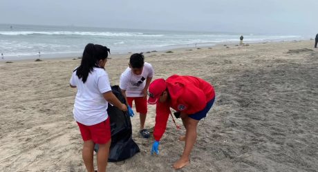 Rosarito retira cerca de media tonelada de basura de las playas