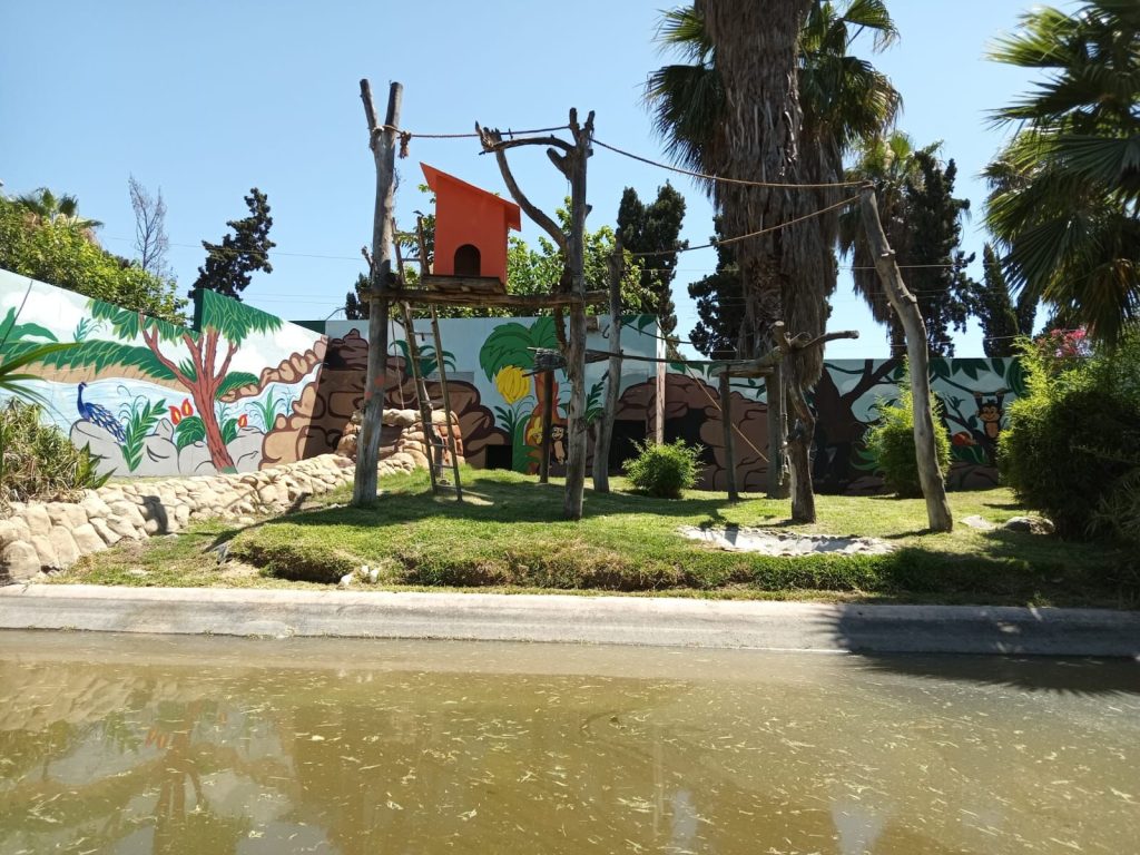 Ayuntamiento-rehabilita-habitat-monos-arana-Parque-Morelos
