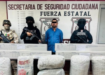 FESC y Sedena detienen a hombre con armas y marihuana en Tecate