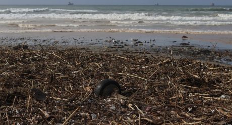 Personal de Zofemat limpia las playas de Rosarito tras las lluvias