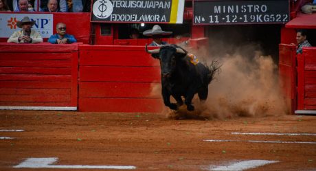 Frenan corridas de toros en la Plaza México