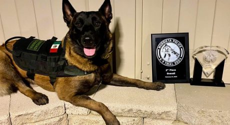 El agente K9 Willie destaca en competencia internacional