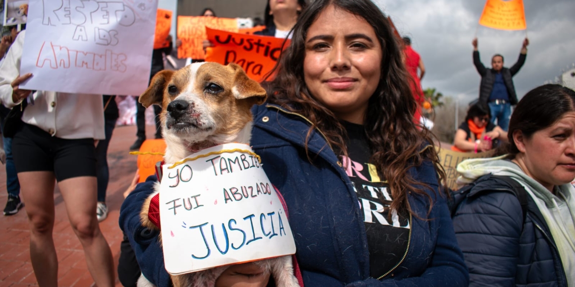 Marchan por los derechos de los Animales