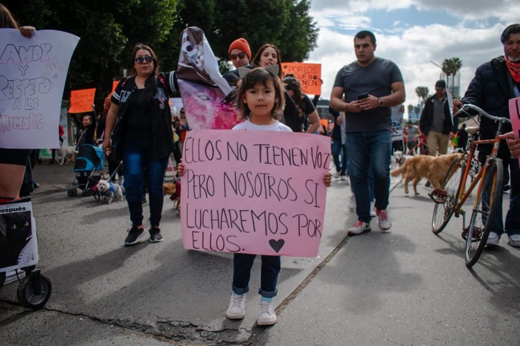 Desde este lunes habrá nueva circulación en el Nodo Vial Alamar-Terán