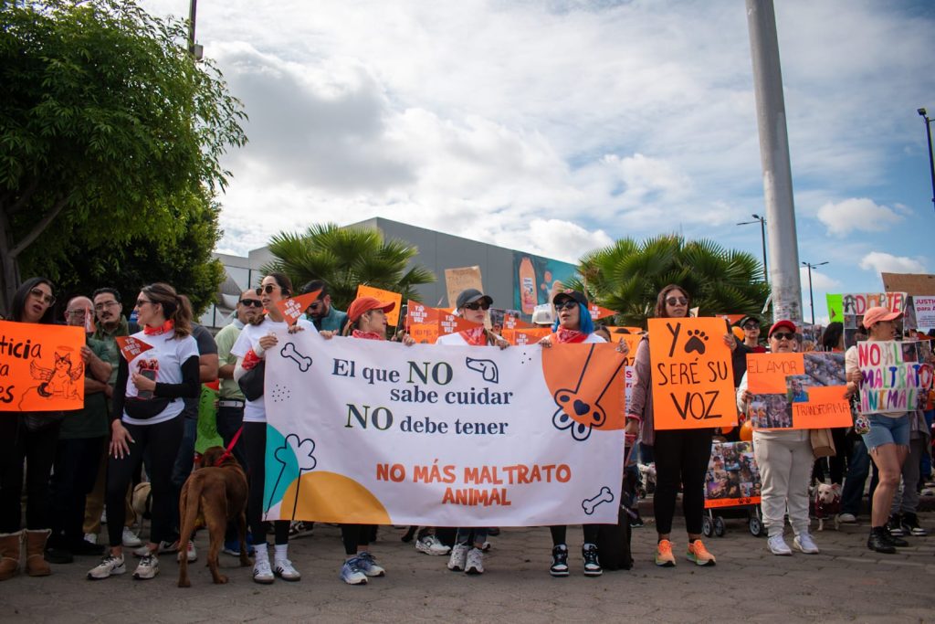 Desde este lunes habrá nueva circulación en el Nodo Vial Alamar-Terán