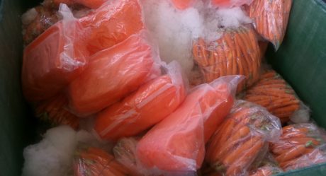Localizan 574 paquetes de metanfetamina en cargamento de Zanahorias