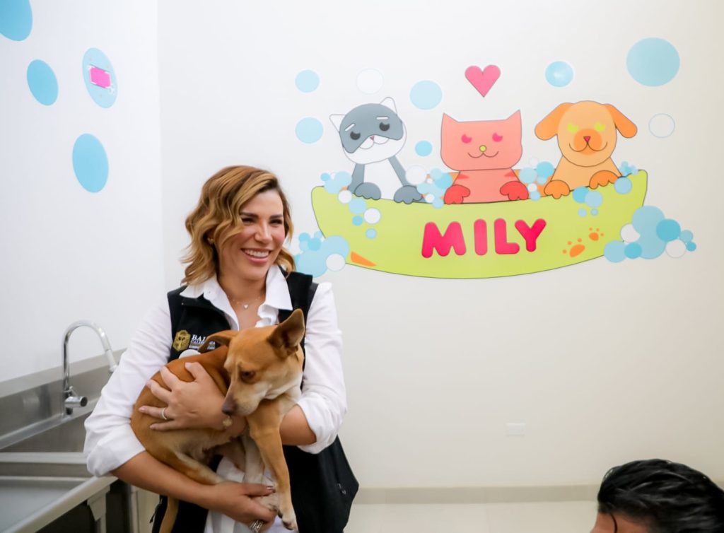 Santuario-Mily-recibe-perros-maltratados-rescatados-Gobernadora