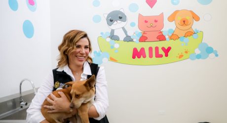 Santuario Mily recibe a perros maltratados y rescatados: Gobernadora