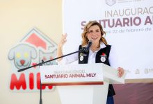 Gobernadora-Marina-del-Pilar-informa-avances-operación-santuario-Animal-Mily