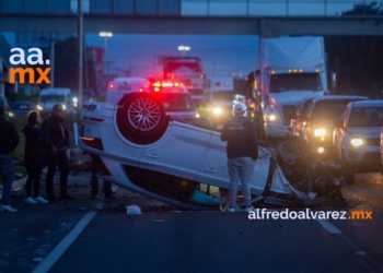 Caballos provocan carambola en la carretera Escénica Tijuana - Ensenada