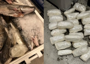 Agentes de CBP decomisan metanfetamina en una hielera llena de pescado