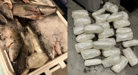 Agentes de CBP decomisan metanfetamina en una hielera llena de pescado