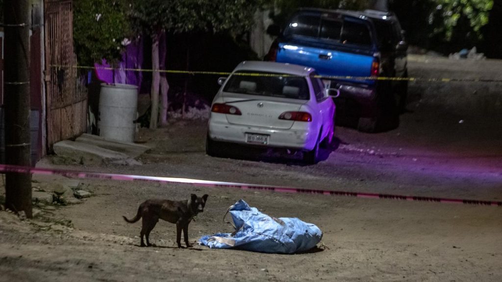 Tiran cadáver con tiro de gracia frente a una casa