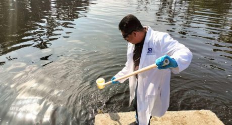 Evalúan calidad del agua en lagos de parque Morelos y de la Amistad