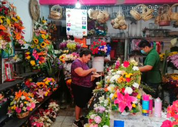 Restricciones para cruzar flores a Estados Unidos