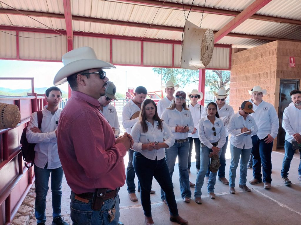 Joven muere decapitada tras choque con muro de contención