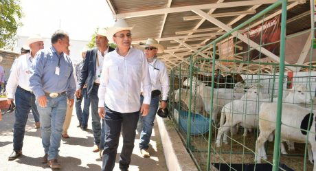 Obtiene Sonora récord histórico en exportación de ganado: Alfonso Durazo