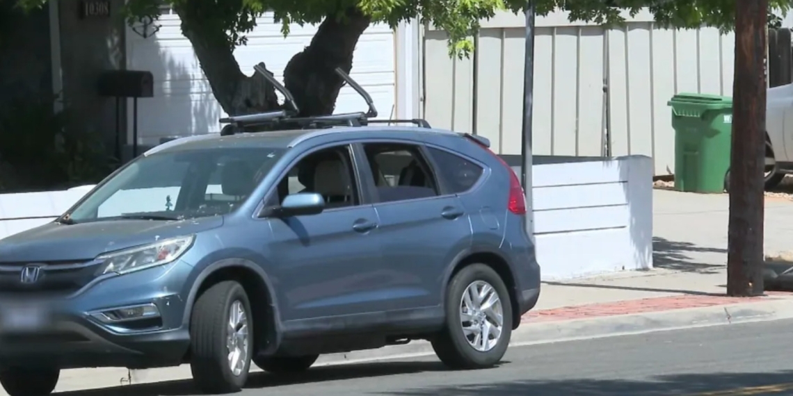 Recién nacida murió tras ser abandonada 9 horas en el auto afuera de su casa en San Diego