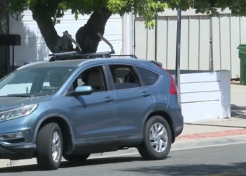 Recién nacida murió tras ser abandonada 9 horas en el auto afuera de su casa en San Diego